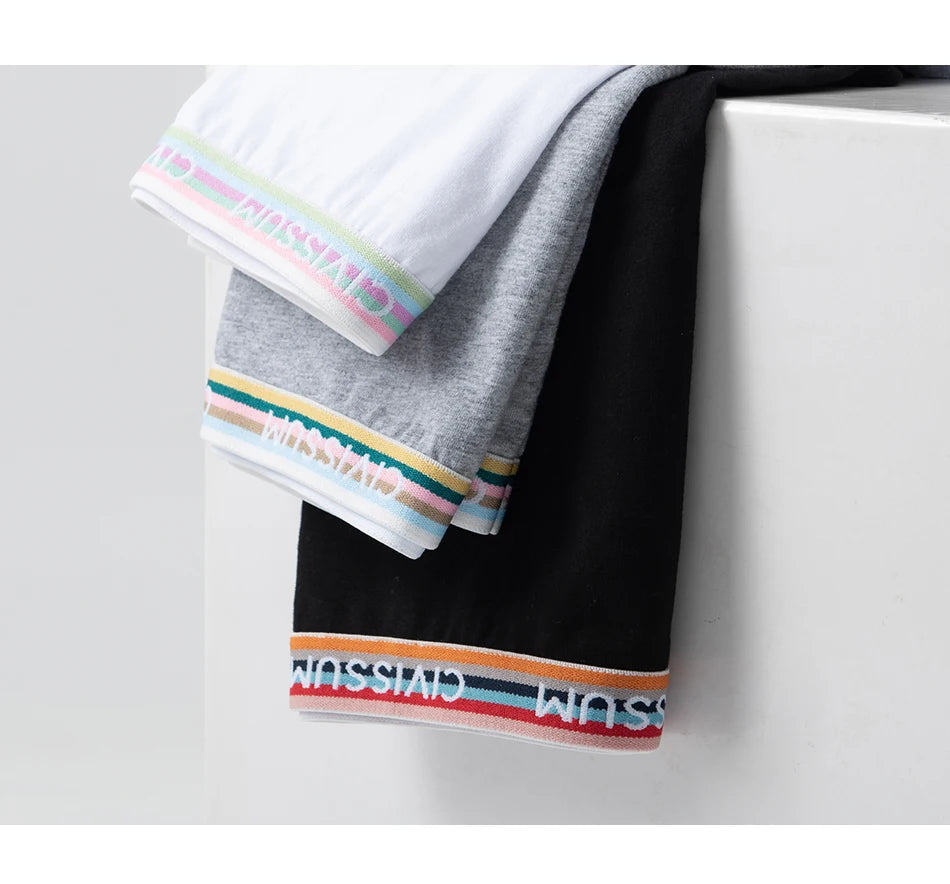 2PCS/Set Women Cotton Rainbow Letter Panties Sexy Plus Size Underwear Lingerie Mid Waist Comfortable Briefs NK609 Aviola