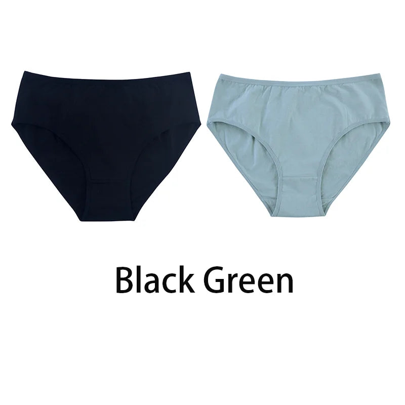 2PCS/Set Women Sexy 95% Cotton Panties Plus Size Underwear Female Underpants Girls Soft Briefs Comfort Lingerie Aviola