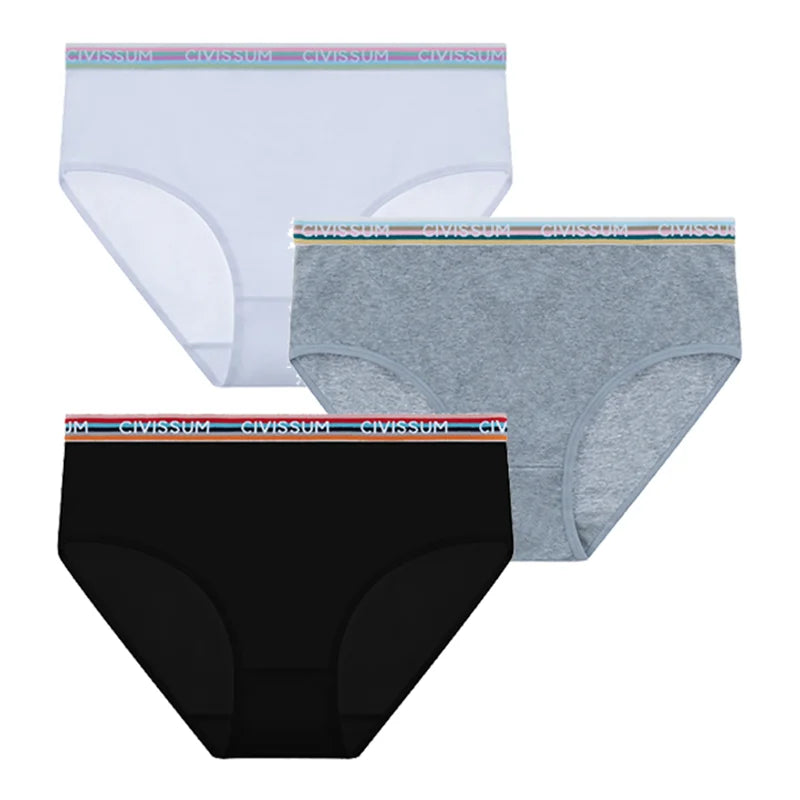 2PCS/Set Women Cotton Rainbow Letter Panties Sexy Plus Size Underwear Lingerie Mid Waist Comfortable Briefs NK609 Aviola