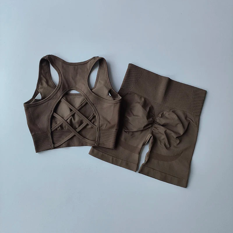 2 PCS Women's Seamless Yoga Set Sexy Sport Bra High Waist Sports Shorts Gym Fitness Sleeveless Workout Suit Sporstwear Aviola