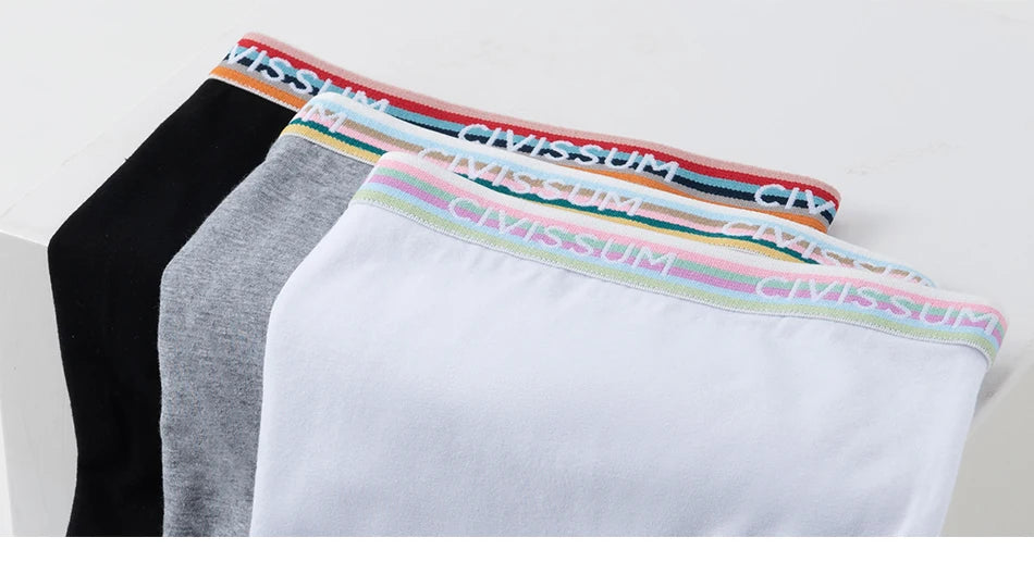 2PCS/Set Women Cotton Rainbow Letter Panties Sexy Plus Size Underwear Lingerie Mid Waist Comfortable Briefs NK609 Aviola