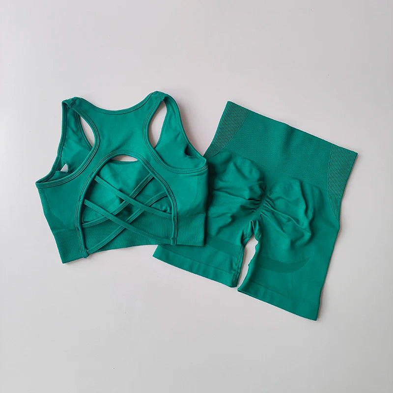 2 PCS Women's Seamless Yoga Set Sexy Sport Bra High Waist Sports Shorts Gym Fitness Sleeveless Workout Suit Sporstwear Aviola