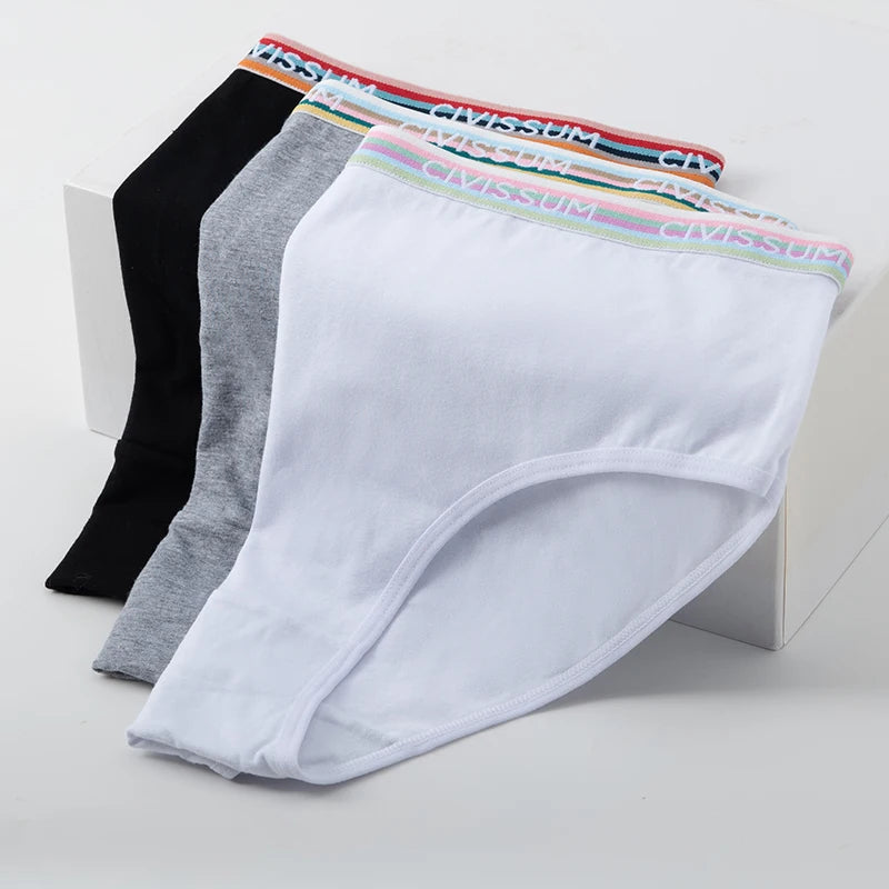 2PCS/Set Women Cotton Rainbow Letter Panties Sexy Plus Size Underwear Lingerie Mid Waist Comfortable Briefs NK609 Aviola