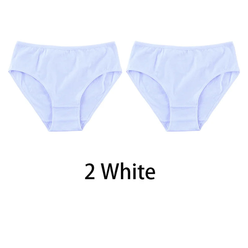 2PCS/Set Women Sexy 95% Cotton Panties Plus Size Underwear Female Underpants Girls Soft Briefs Comfort Lingerie Aviola