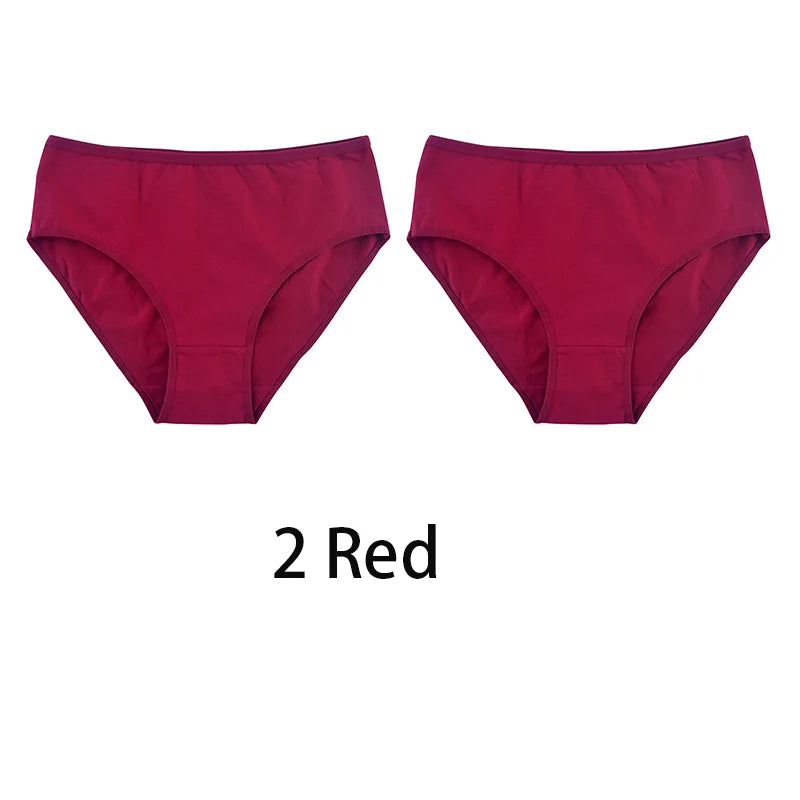 2PCS/Set Women Sexy 95% Cotton Panties Plus Size Underwear Female Underpants Girls Soft Briefs Comfort Lingerie Aviola
