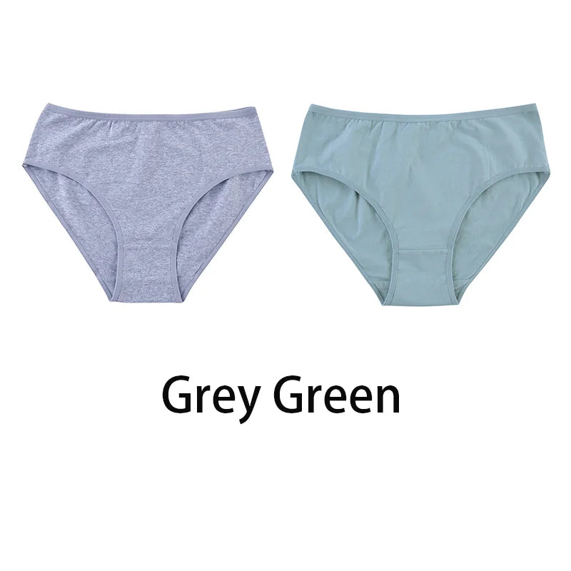 2PCS/Set Women Sexy 95% Cotton Panties Plus Size Underwear Female Underpants Girls Soft Briefs Comfort Lingerie Aviola
